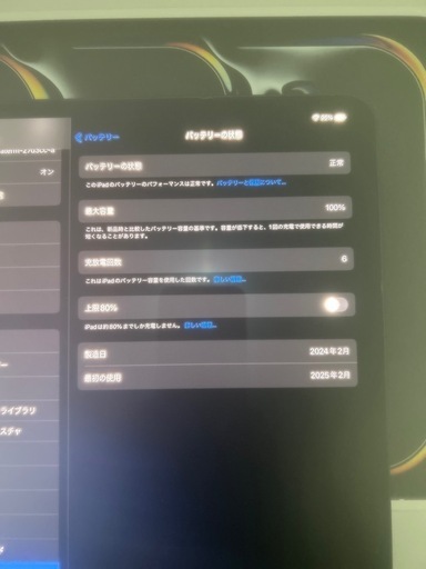 【ほぼ未使用・バッテリー100%】iPad Pro 13インチ M4 256GB Wi-Fi+Cellular SIMフリー