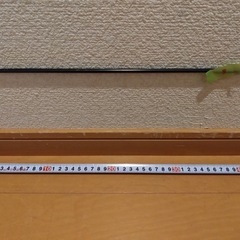134.　電子キーボード　ピアノ　譜面台3
