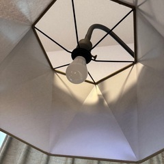 【最終値下げ】　FLYMEe Parlor  Floor Lamp フロアーランプ の画像