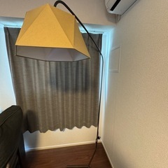 【最終値下げ】　FLYMEe Parlor  Floor Lamp フロアーランプ の画像