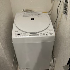 シャープ 洗濯乾燥機  8kg   使用半年、11万円で購入、退去により急ぎなので特価、今日の15時で終了予定