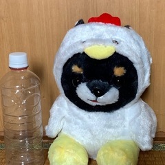 犬？鳥？　ぬいぐるみの画像