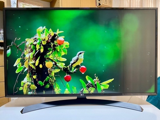 4K対応 Wi-Fi アプリ多数 43インチ液晶テレビ LG 43UJ6100 LG 4K,Wi-Fi対応 アプリ多数 43インチ液晶テレビ 43UJ6100 テレビ