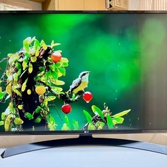 LG 4K,Wi-Fi対応 アプリ多数搭載 43インチ液晶テレビ...