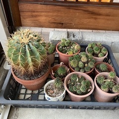 受渡者予定済の画像