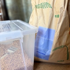 決定⭐︎　猫砂　猫トイレ　