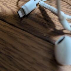 アップル公式イヤホン&充電器(おまけ)の画像