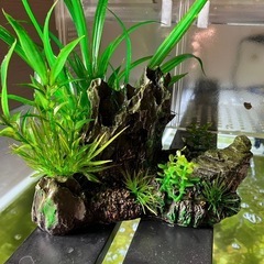 水槽オブジェ　人工水草　岩