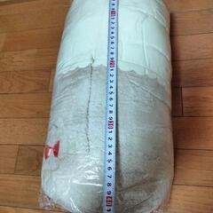 すみっコぐらし ぬいぐるみXL プライズ品の画像