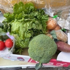 新鮮なお野菜詰め合わせセット⭐︎