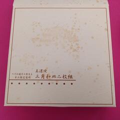 新品　美濃焼　皿　2枚の画像