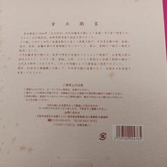 新品　美濃焼　皿　2枚の画像