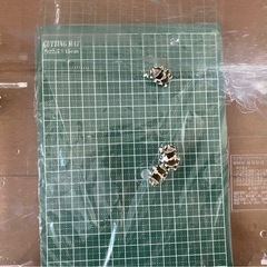 マダライモリ その他の中古が安い！激安で譲ります・無料で