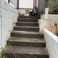 植木鉢の画像