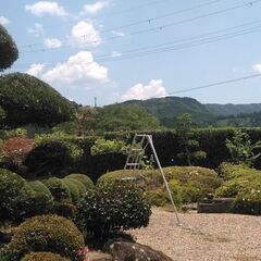お庭のお手入れ如何ですか - 剪定/造園