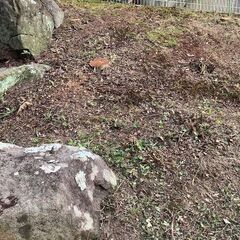 お庭のお手入れ如何ですか − 三重県