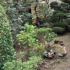 お庭のお手入れ如何ですか - 地元のお店