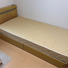 シングルサイズベット引き出し電源付き (リオ大阪) 和泉府中のベッド 