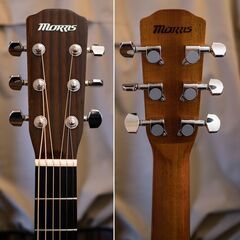 MORRIS F-01 2005年 極美品コンパクト