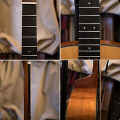 MORRIS F-01 2005年 極美品コンパクトの画像