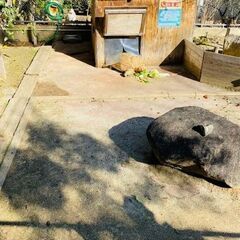 児発管としてのキャリアチェンジ！あなたの一歩を全力でサポートします！の画像