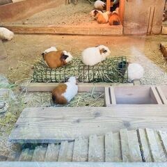 児発管としてのキャリアチェンジ！あなたの一歩を全力でサポートします！の画像