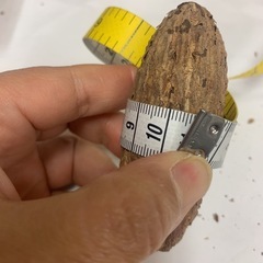 千眼菩提の画像