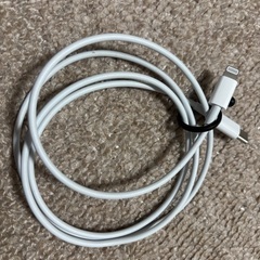 Apple純正　USB-C - Lightningケーブル（1 m）