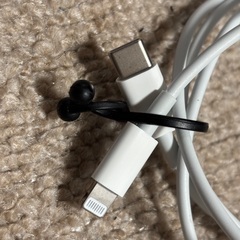 Apple純正　USB-C - Lightningケーブル（1 m）の画像