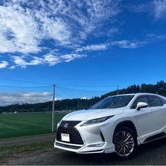 2021年(令和3年)  RX L 7人乗り