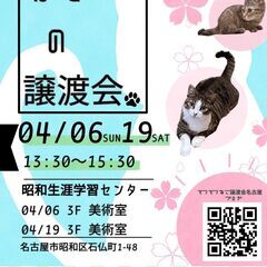 4/19(土)猫の譲渡会　in　名古屋市昭和生涯学習センター