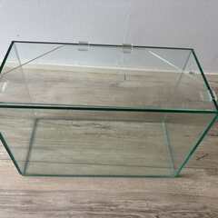 魚の水槽 （15L)