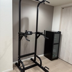 STEADY 懸垂マシン