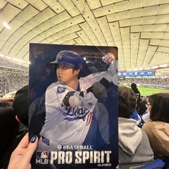 【非売品】大谷翔平クリアファイルの画像
