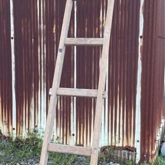 古い木のはしご 梯子 鼻栓 アンティーク 骨董の画像