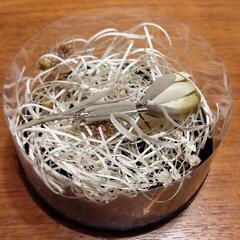 作家 布花 チューリップ ブローチの画像