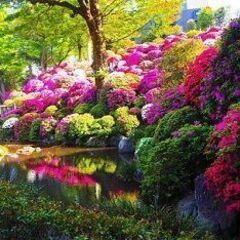 42～65才（年の差） 東京散歩♪ ～1人参加～【谷根千】💖