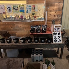 メダカ無人販売所