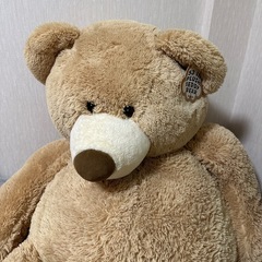コストコのクマ