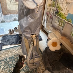 キャディバッグのみの画像