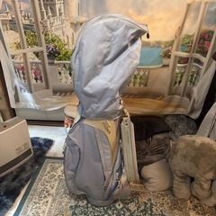 キャディバッグのみの画像