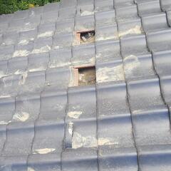 奥能登で屋根の復旧工事 作業員募集です。の画像