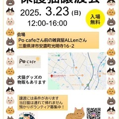 保護猫譲渡会in Po cafe 