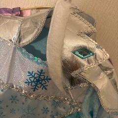 アナと雪の女王エルサコスの画像