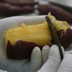 【ねっとり甘い干し芋】たっぷり干し芋1袋約200g　オープンに向けた試作品を特別価格でお届け！国産紅はるかの画像
