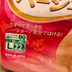 【格安】リフレ はくパンツ 下着のような ベージュタイプ L 大人用紙おむつの画像