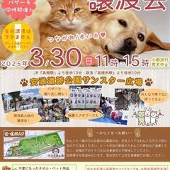 【保護猫の譲渡会】高槻市　安満遺跡