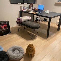 島忠テーブル