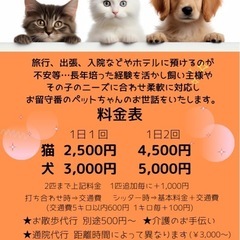 ペットシッター