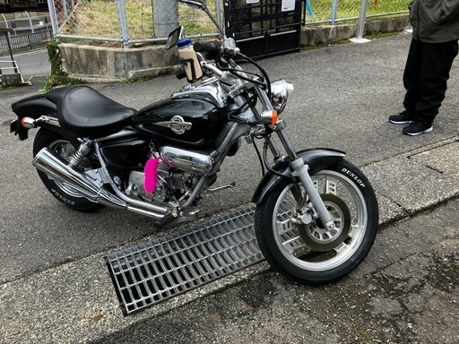 マグナ50